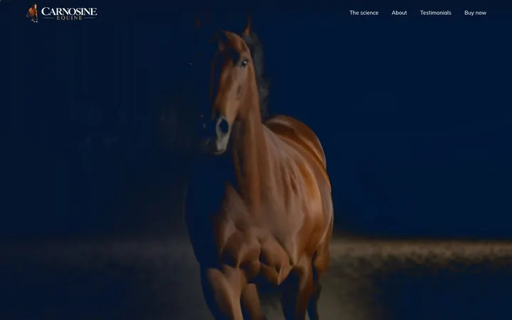 Carnosine Equine homepage in motion: a bay horse gallops out of the dark towards the screen and past, then the Fortigo bottle spins in through a burst of sand